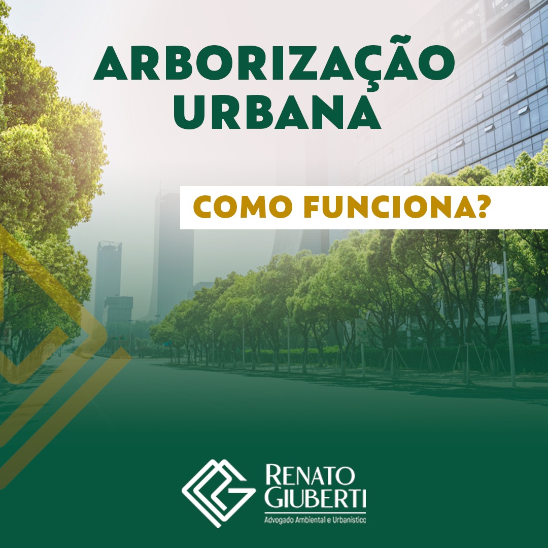 ARBORIZAÇÃO URBANA