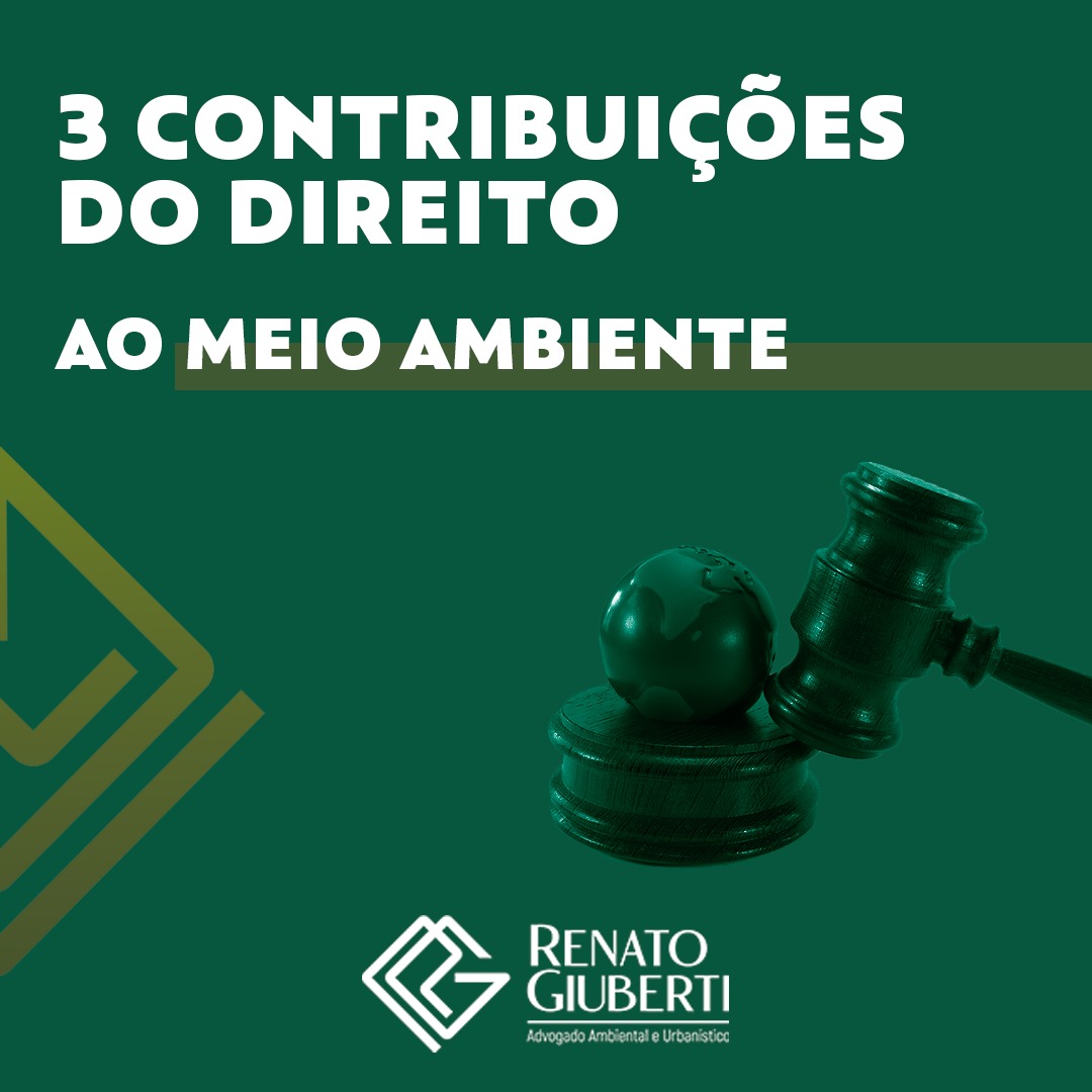 3 CONTRIBUIÇÕES DO DIREITO AO MEIO AMBIENTE