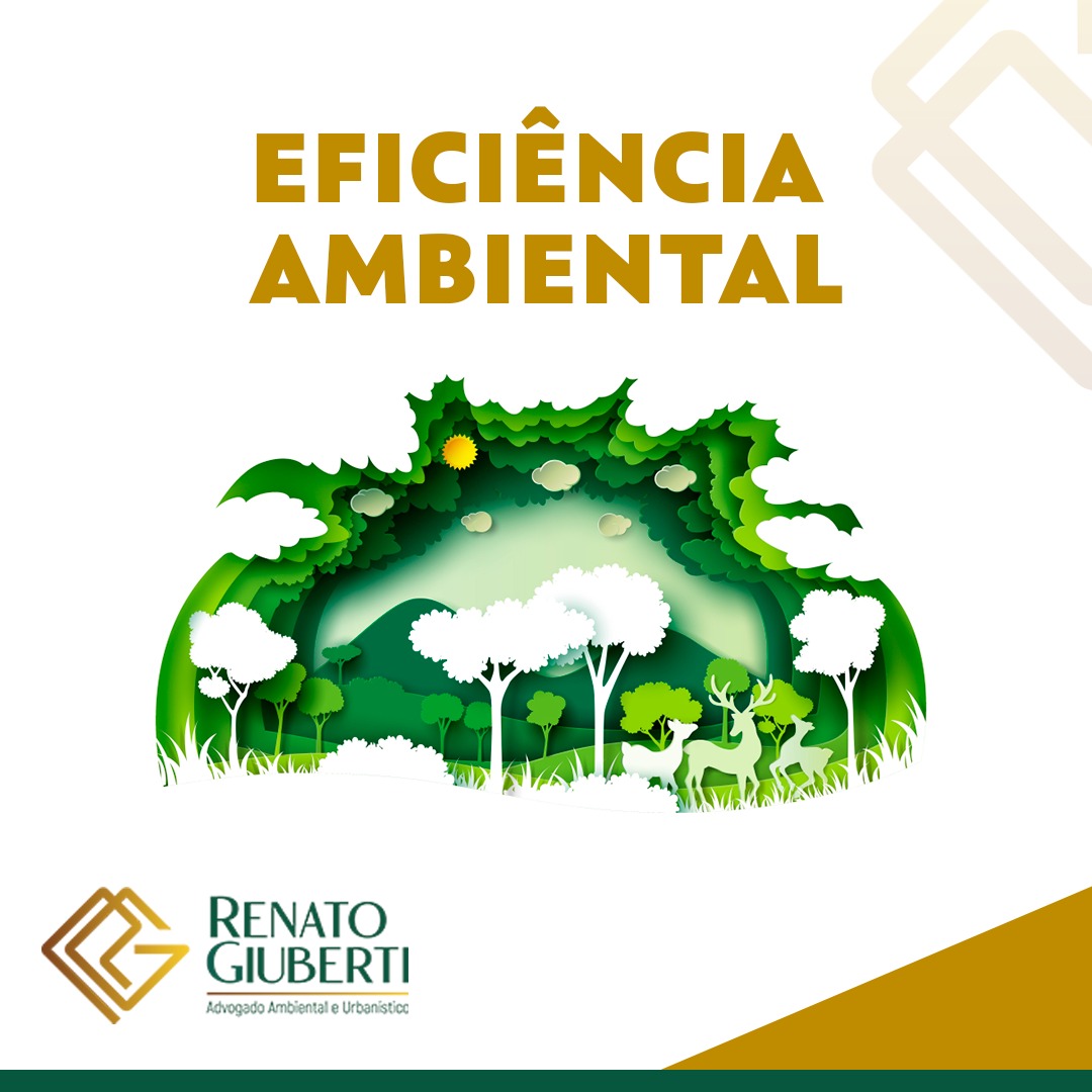 EFICIÊNCIA AMBIENTAL