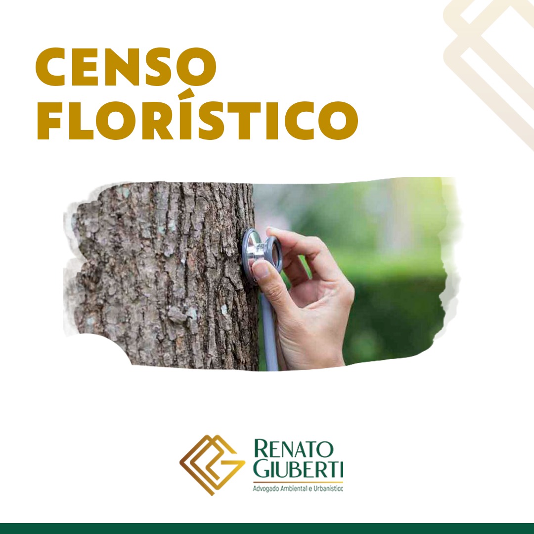 CENSO FLORÍSTICO