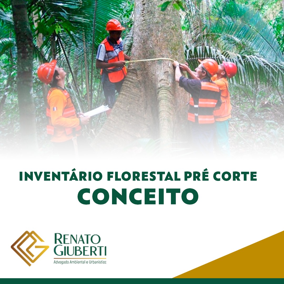 INVENTÁRIO FLORESTAL PRÉ-CORTE